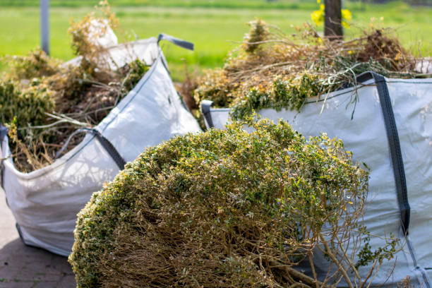 Best Professional Junk Removal  in Ridgway, PA